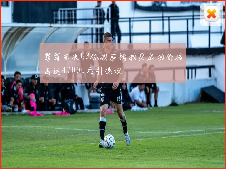 霉霉东决G3观战座椅拍卖成功价格高达47000元引热议