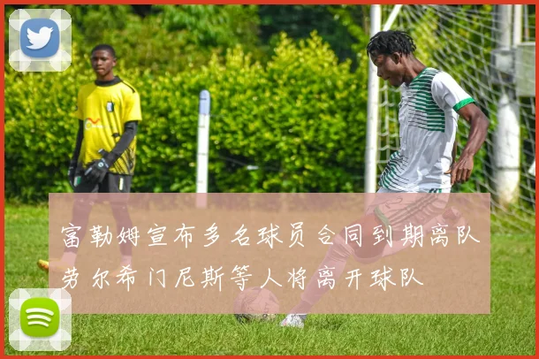 富勒姆宣布多名球员合同到期离队劳尔希门尼斯等人将离开球队